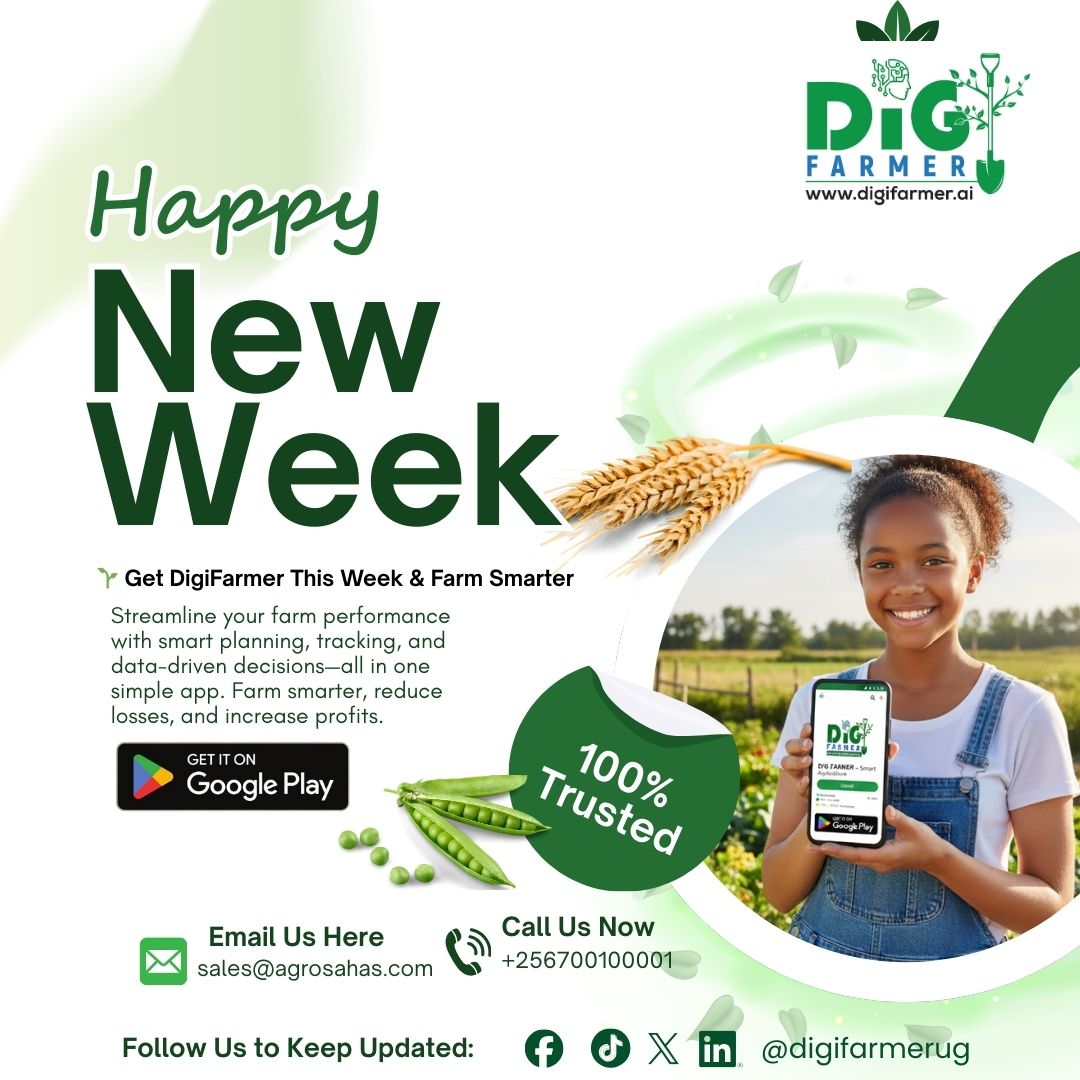 Drip Irrigation: The Future of Water-Efficient Farming