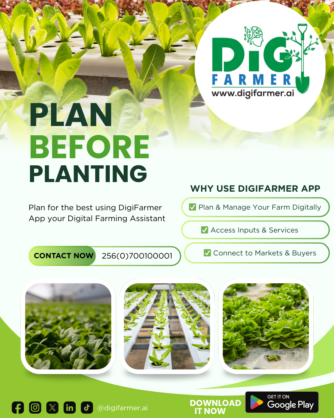 Top 10 Organic Fertilizers for Healthy Crops